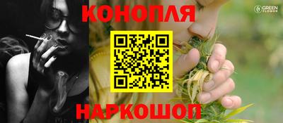 кокс Гатчина
