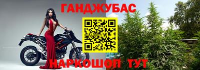 кокс Гатчина