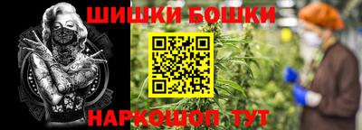 дживик Гай