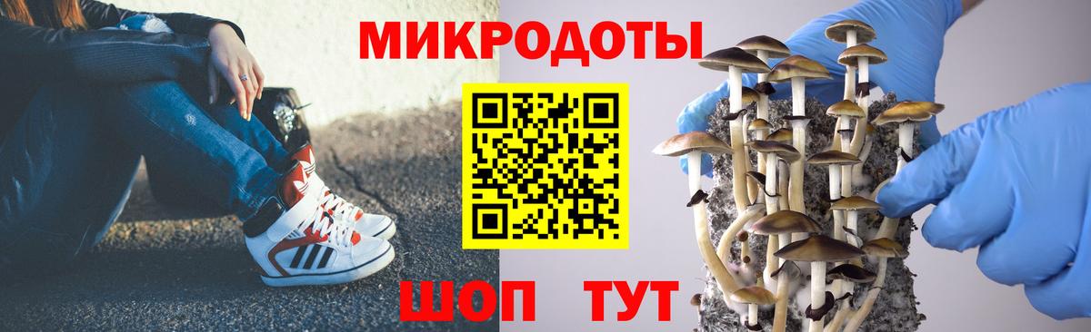 Сосновый Бор  Псилоцибиновые грибы GOLDEN TEACHER  Вход с VPN 